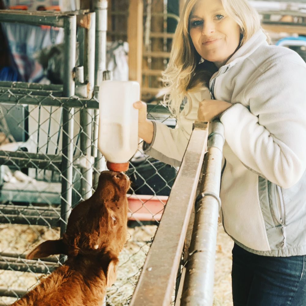 NO WORRIES PET SERVICE 100 Photos Rogue River, Oregon Pet Sitting