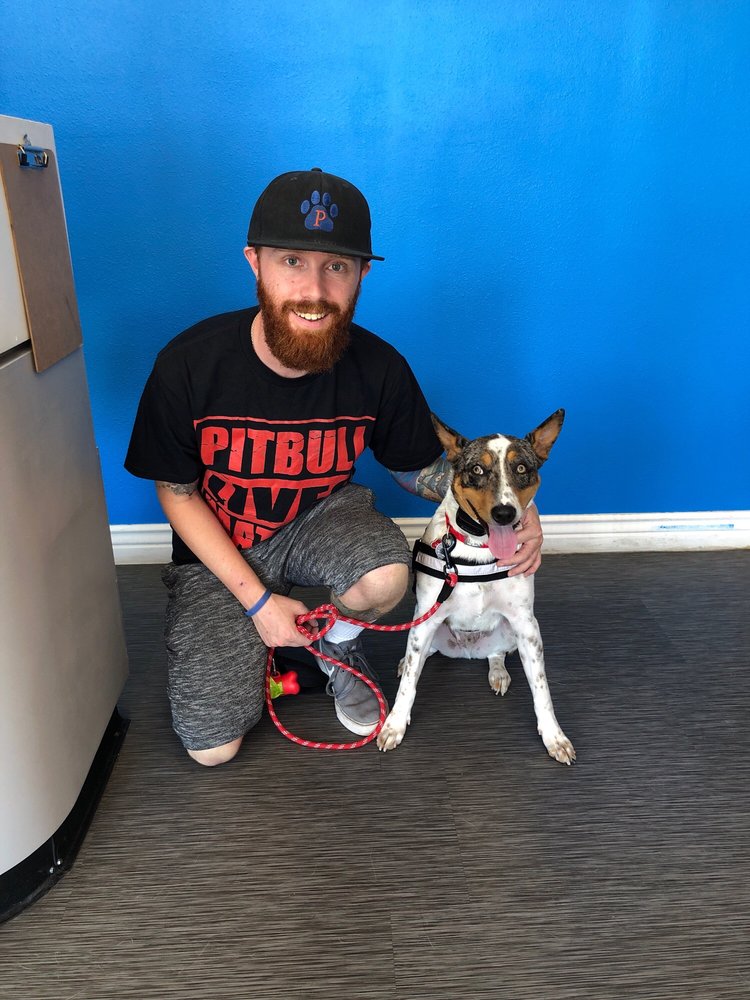 PADDOCK’S PAWS PET CARE & TRAINING 32 Photos & 48 Reviews 9132 W