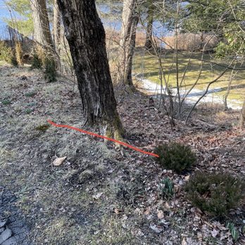 845 Tree Pro - Tree Services Near Me - Mountain Dale, New York 845 Tree Pro - Tree Services Near Me - Mountain Dale, New York