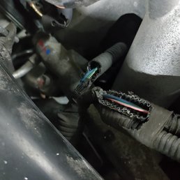 Chewed wiring to injectors