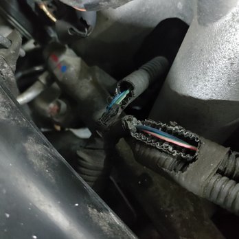 Midas - Chewed wiring to injectors - Tires Near Me - Warminster, Pennsylvania
