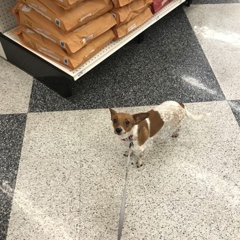 Pet Food Express - Pet Stores Near Me - San Jose, California Pet Food Express - Pet Stores Near Me - San Jose, California