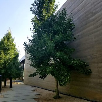 Windhover - Meditation Centers Near Me - Stanford, California