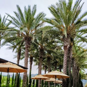 Caymus Suisun Winery - Wine Tasting Room Near Me - Fairfield, California