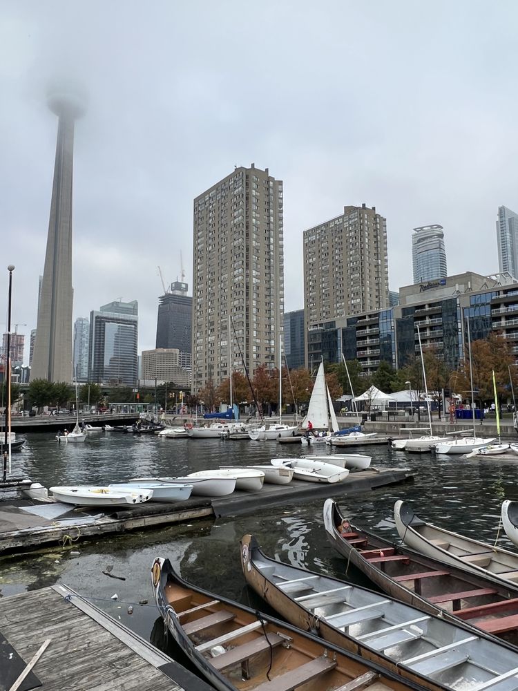 Martin Goodman Trail