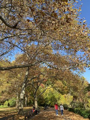 Inwood Hill Park by null