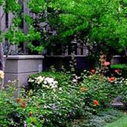 Sunshine Tree Landscape 12 Photos Tree Services 870 Route 57 Stewartsville Nj Phone Number Yelp