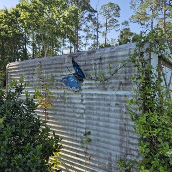 Wiggins Exterior Cleaning - Pressure Washers Near Me - St. Augustine, Florida Wiggins Exterior Cleaning - Pressure Washers Near Me - St. Augustine, Florida
