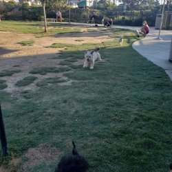 Civita Dog Park