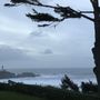 Photo of Pacific Shores Motorcoach Resort