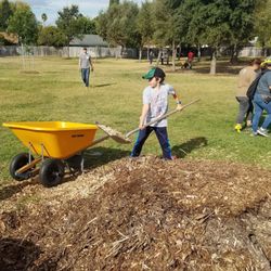 Garden Valley Elementary School - 10/19/19 Sacramento tree foundation volunteers helped plant 20 valley oak trees and more