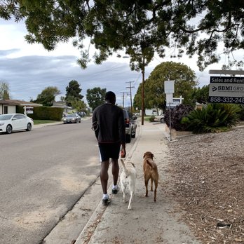 Off Leash K9 Training - Pet Training Near Me - Murrieta, California Off Leash K9 Training - Pet Training Near Me - Murrieta, California