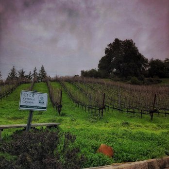 Big Basin Vineyards - A lovely tasting setting... - Wine Tasting Room Near Me - Boulder Creek, California Big Basin Vineyards - A lovely tasting setting... - Wine Tasting Room Near Me - Boulder Creek, California
