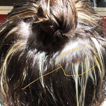 Gold + Arrow Salon - Geeesh, so much for wearing a bun to hide my stripes. - Hair Salons Near Me - Portland, Oregon