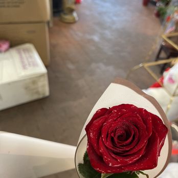 Rose Flowers - Florists Near Me - Santa Ana, California Rose Flowers - Florists Near Me - Santa Ana, California