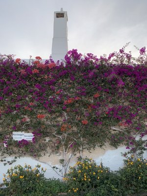 Masseria TORRE COCCARO by null