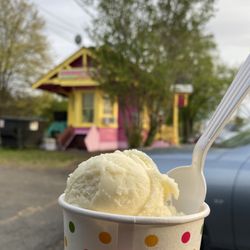 Cranberry Junction home made ice cream - Sugar free vanilla ice cream
