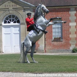 Haras Du Pin