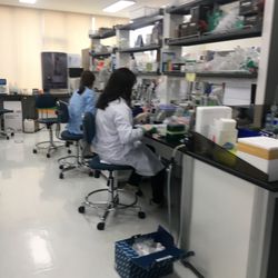SocalTesting  - The Team