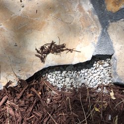 Faustina Construction - Cement broke off the edge of the path. This is going to continue around the whole path and patio.
