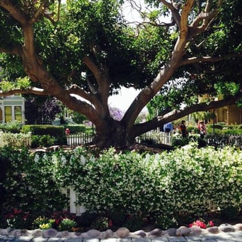 Heritage Park - Cute tree in the middle of the houses! - Parks Near Me - San Diego, California Heritage Park - Cute tree in the middle of the houses! - Parks Near Me - San Diego, California