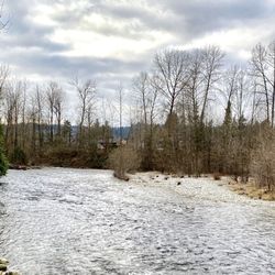 Lions Park - Coquitlam River
