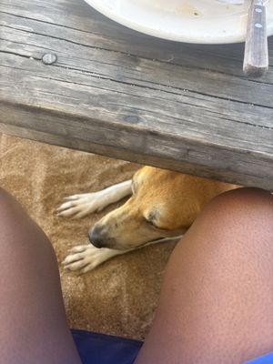 El Alquimista by null