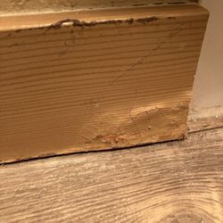 Olympic Village Apartments - Trim is made of pressed wood pulp. Swells up and gets damaged if wiped down. This is in the shower.