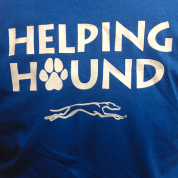 Greyhound Bus Lines - Transportation Near Me - Asheville, North Carolina