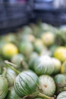 Ferry Plaza Farmers Market by null Ferry Plaza Farmers Market by null