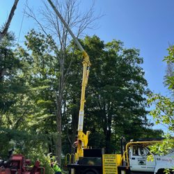 Lachance Tree Service
