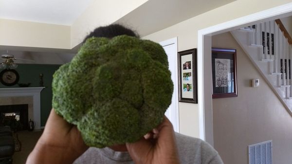 Suvidha International Market by null