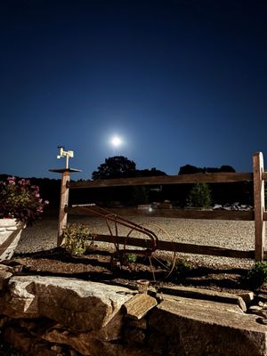 Outhouse Orchards by null