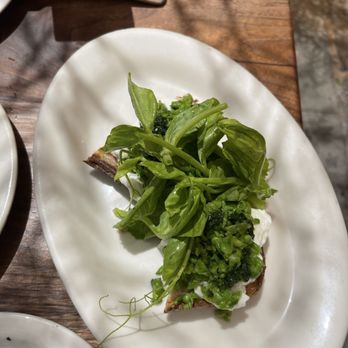 Gjelina - Peashoot toast- fresh, simple, sweet. - New American Near Me - Venice, California Gjelina - Peashoot toast- fresh, simple, sweet. - New American Near Me - Venice, California