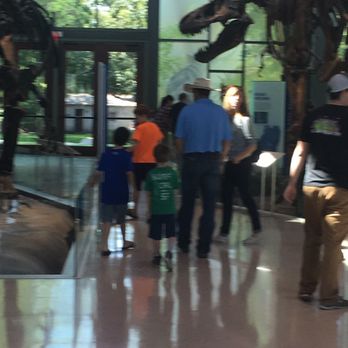 Witte Museum - Wow dinasours - Museums Near Me - San Antonio, Texas