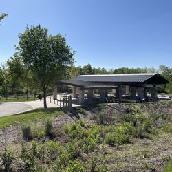 Black Hoof Park