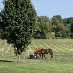 Green Valley Stables - Pasture and hay fields