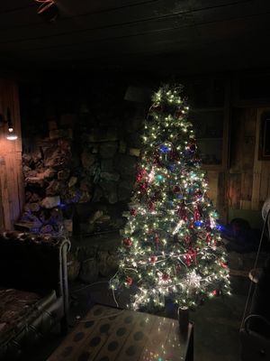 Harvard and Stone by null