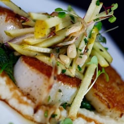 Salar - Seared Scallops