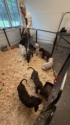 Blackberry Farm by null Blackberry Farm by null