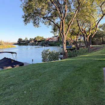 HP Tree Service - Tree Services Near Me HP Tree Service - Tree Services Near Me