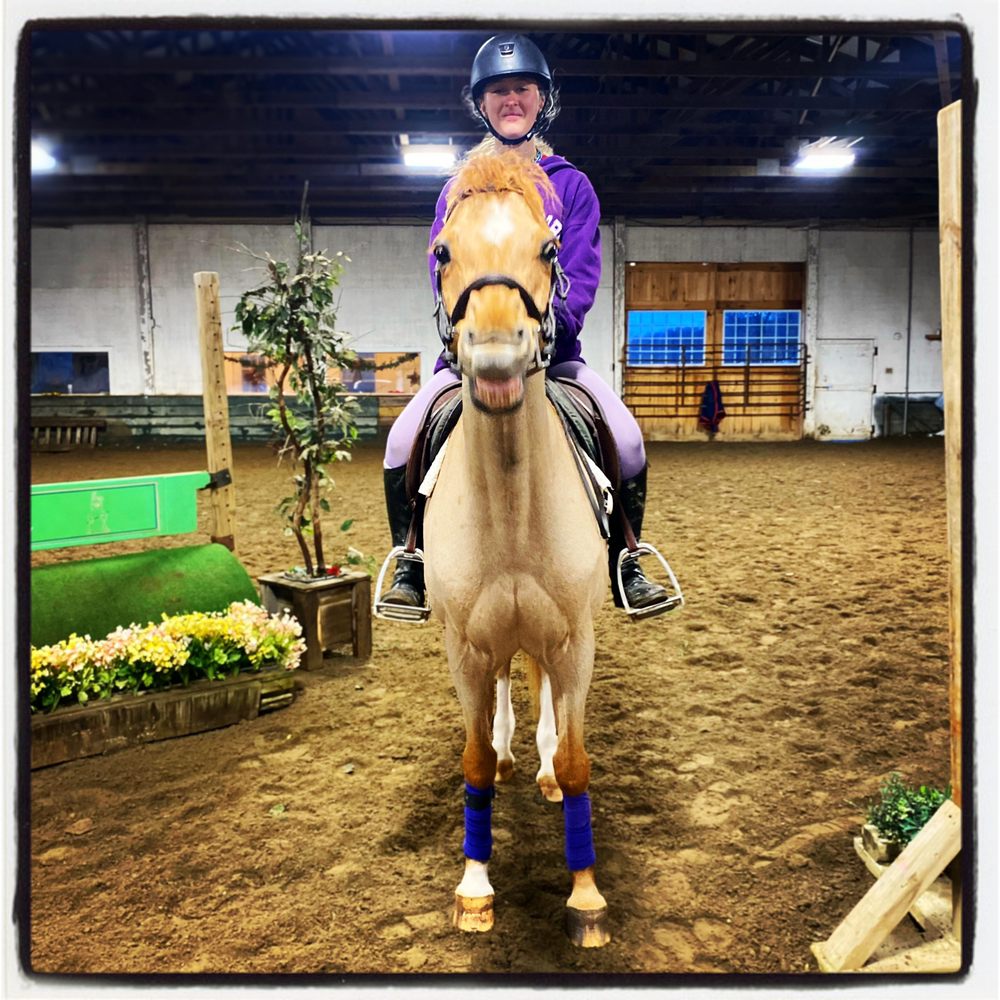 THE RIDGE EQUESTRIAN CENTER Updated September 2024 20 Photos