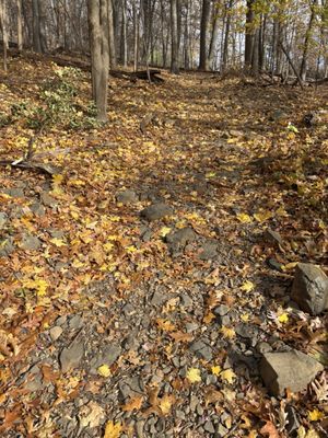 South Mountain Reservation by null