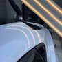Paintless Pros Dent Repair
