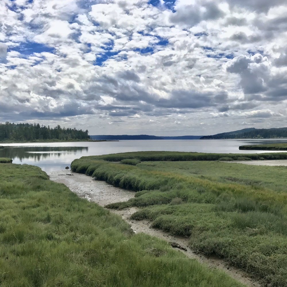 Theler Wetlands - Hiking Near Me - Belfair, Washington Theler Wetlands - Hiking Near Me - Belfair, Washington
