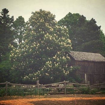 The Village At Black Creek - Museums Near Me - Downsview, Ontario