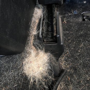 Clean Green Mobile - Before: Soooo much Shiba fur stuck in the tracks under the seat... - Auto Detailing Near Me Clean Green Mobile - Before: Soooo much Shiba fur stuck in the tracks under the seat... - Auto Detailing Near Me