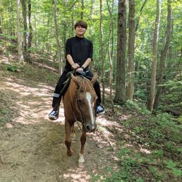 Great trails and easy to ride horses Great trails and easy to ride horses