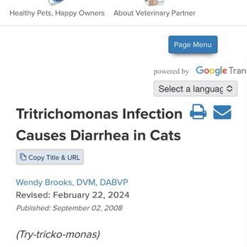 Nevada SPCA - Reasons for cat medicine - Animal Shelters Near Me - Las Vegas, Nevada Nevada SPCA - Reasons for cat medicine - Animal Shelters Near Me - Las Vegas, Nevada