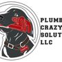 Photo of Plumb Crazy Solutions